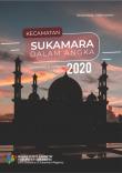 Sukamara Subdistrict In Figures 2020