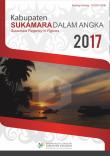 Kabupaten Sukamara Dalam Angka 2017